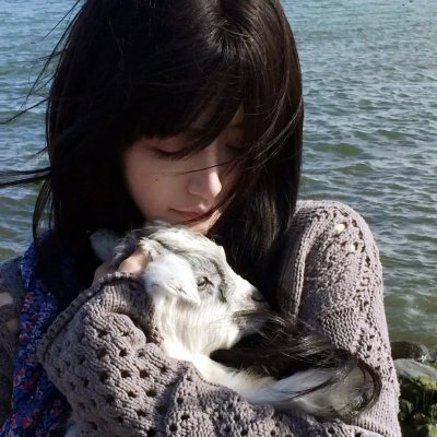 假结婚真幸福